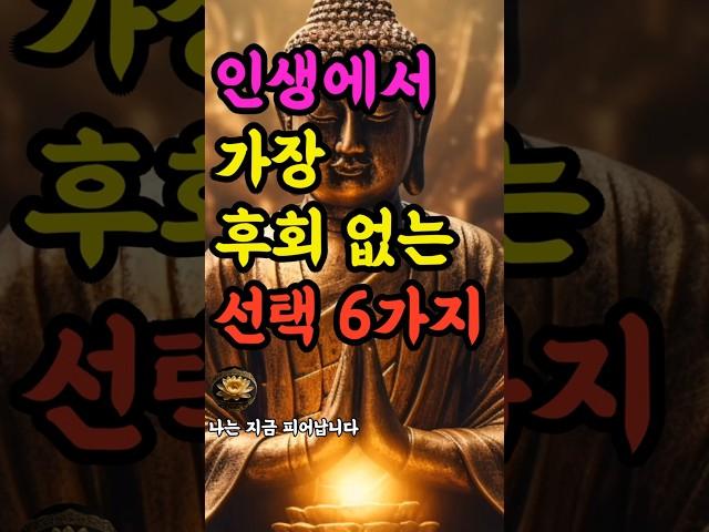 "인생에서 가장 후회 없는 선택 6가지" #부처님말씀 #불교명언 #삶의지혜 #인생조언 #처세술 #감정정화 #불교지혜 #마음공부 #인간관계 #오디오북