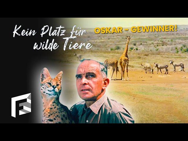 Kein Platz für wilde Tiere | Dokumentarfilm | Fernsehschätze