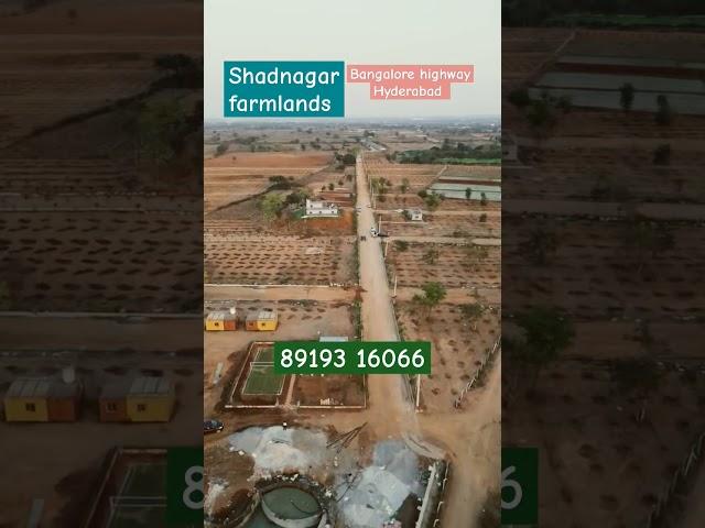 #banglore highway farmlands #agricultural land  for sale in shadnagar Hyderabad