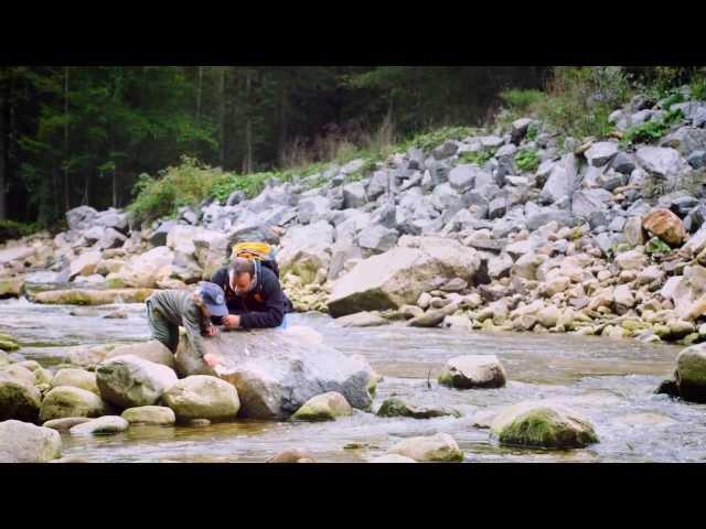 Discover Your Wild & Wonderful in West Virginia