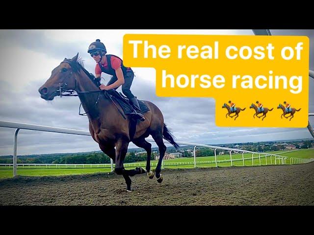 BEFORE YOU BUY A RACEHORSE WATCH THIS VIDEO