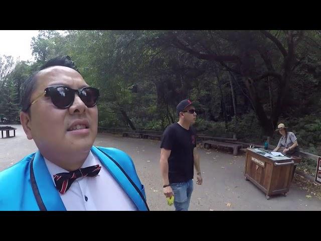 steven muir woods day vacation switzerland san francisco gopro