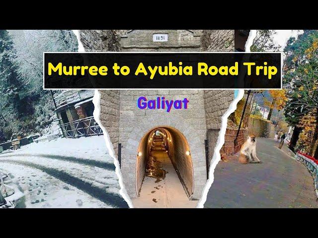 Ayubia Nathia Gali's Hidden Moto Tunnel Surprises | Ayubia Murree Vlog