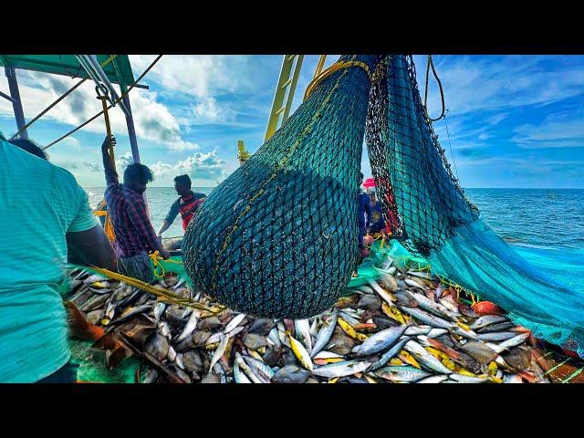 Amazing Fishing! We Caught Lots Of Pomfret &King Fishes In Single Catch |DAY-2 I EP-2 |