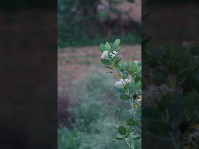 nature take #asgroup