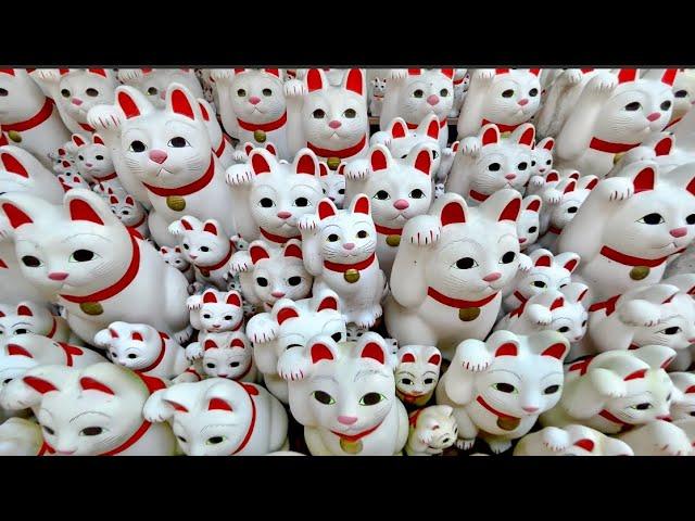 Ride the Lucky Cat Train to Tokyo’s Gotokuji Temple, a power spot with over 2,000 enshrined cats.