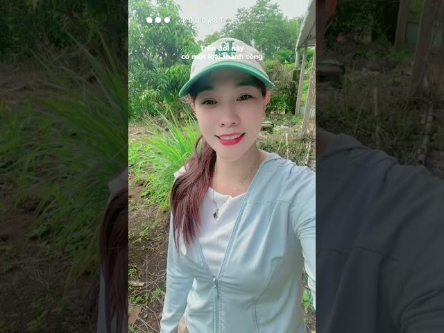 ngày 7 tháng 6, 2025