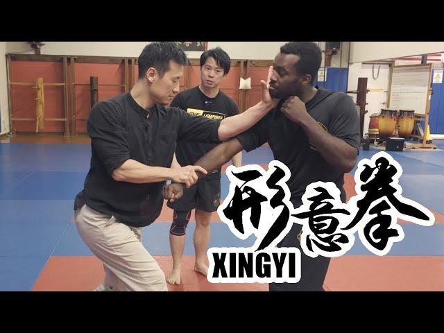 This XingYi Master is CRAZY FAST!