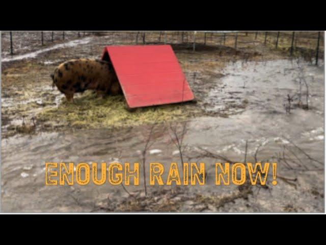 The Rise of Rain at the Farm (vlog 79)