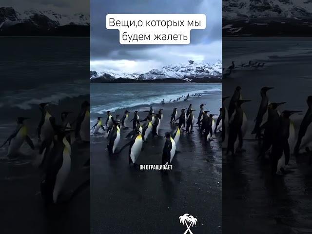 Вещи,о которых мы будем жалеть #лараизмахмутлара #turkey#любовь #путешествия#отдых25#турцияотпуск