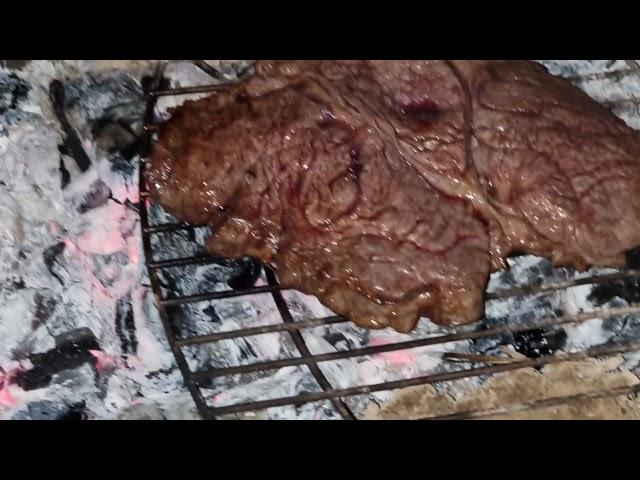 V PRÍRODE : Prerušená nocovačka.