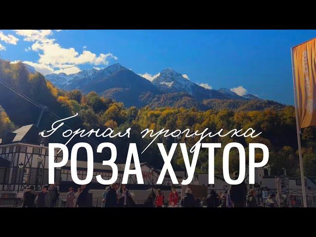 РОЗА ХУТОР | КРАСНАЯ ПОЛЯНА | АЛЬПАКИ | СОЧИ 2024