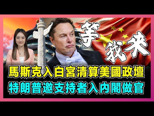 馬斯克入白宮清算美國政壇，特朗普邀支持者入內閣做官！｜馬斯克放棄夢想從政棄商，美國效率委員會掛牌成立，針對中國俄羅斯部門要結業？【屈姬主播 EP265】