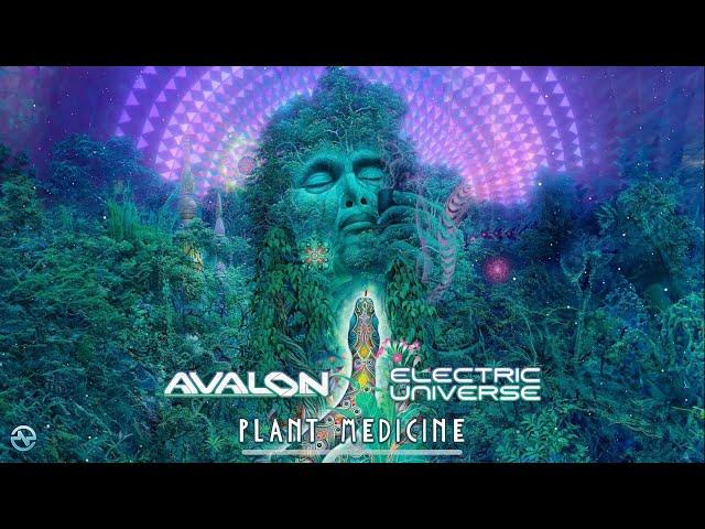 Avalon & Electric Universe - Plant Medicine