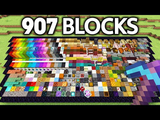 I Got EVERY Block in 24 Hours!