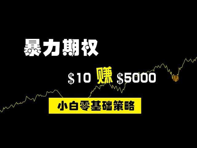 10美元赚5000，零基础也能玩的暴力期权策略