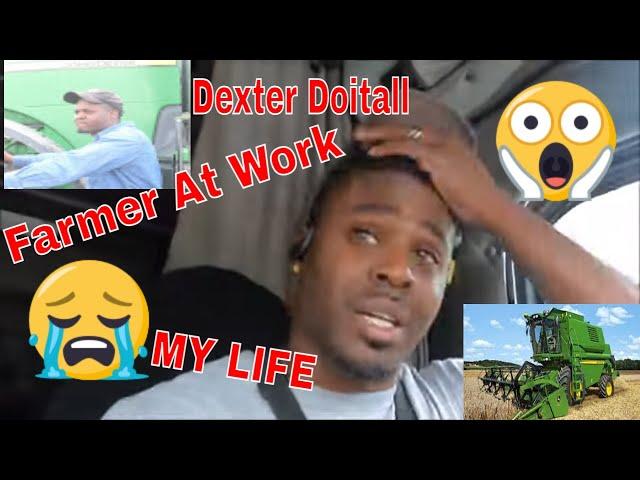 Dexter doitall A Day in the Life of a Farmer