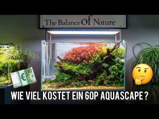 So viel hat mein ADA 60P Aquascape Aquarium gekostet!