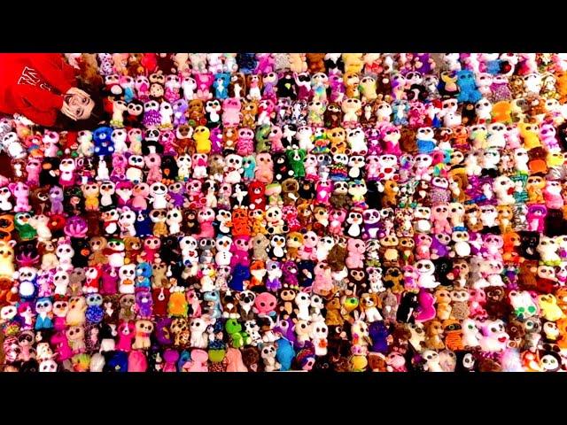 MY 550+ BEANIE BOO COLLECTION (2023)