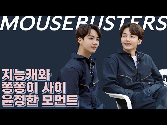 [세븐틴/정한] 지능캐와 쫑쫑이 사이 마우스버스터즈 윤정한 모아보기 MOUSEBUSTERS