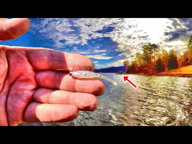 If You Like To Eat Crappie - Easy Way To Catch Loads In The Fall!