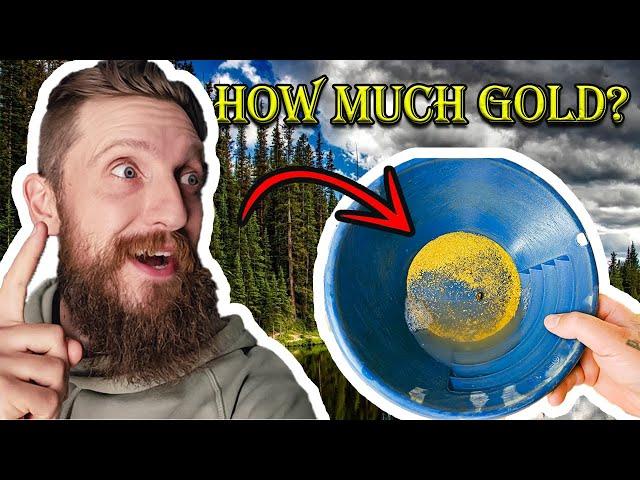 How Much Gold in 100 Bucket of Dirt? | The Largest Gold Recovery I've Ever Had!