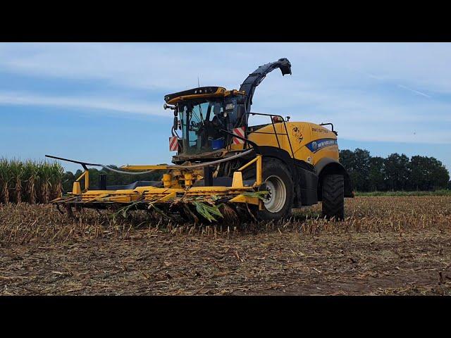 New Holland FR 650