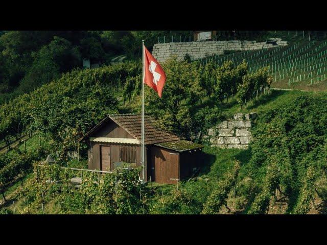 Introduction to Swiss Wines