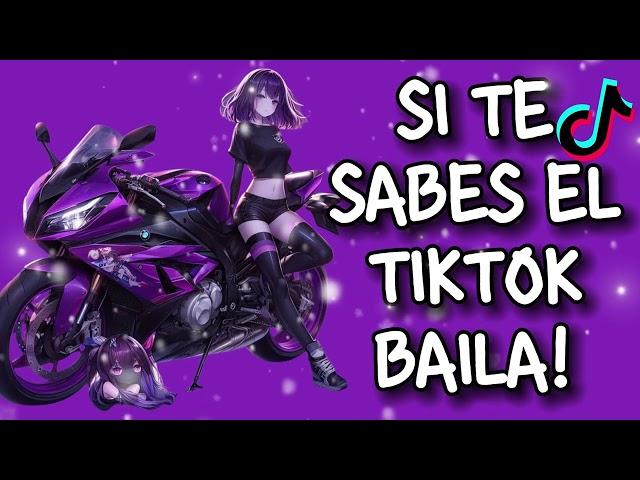 SITE SABES EL TIKTOK BAILA! (2024) 