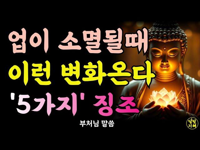 업장이 소멸될때 나타나는 변화 '5가지' 징조ㅣ부처님 말씀ㅣ불교 명언ㅣ석가모니 가르침