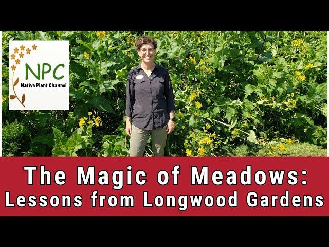 Creating a Meadow-Learn from an expert at Longwood Gardens!