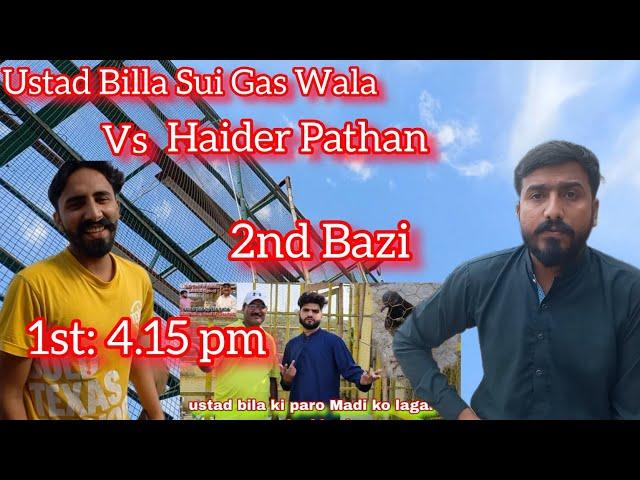 pehla kabootar Beth gaya || haider pathan || ustad billa pigeon club || m