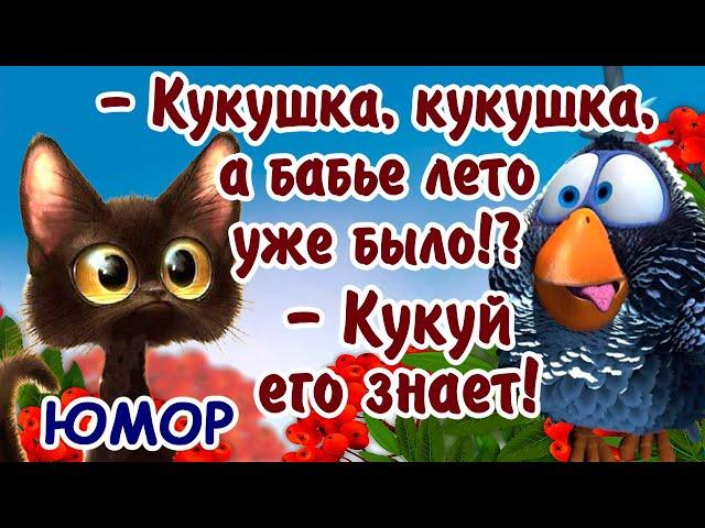 Убойный юмор про осень и не только! Улыбнись, юмор продлевает жизнь. Досмотрите до конца! Позитив!