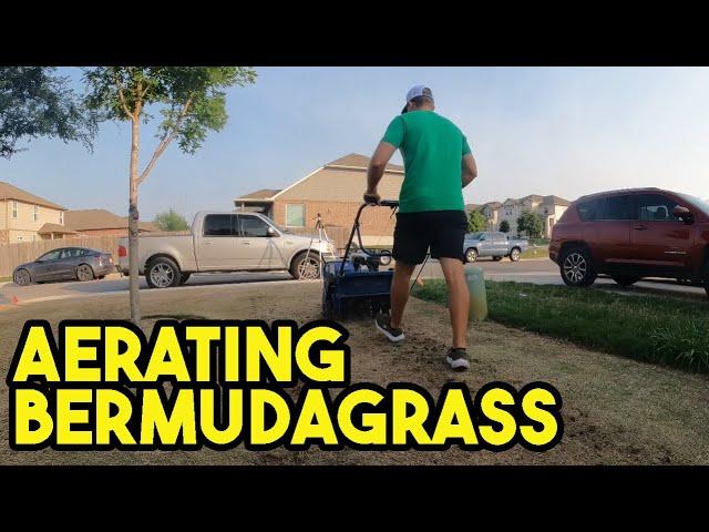 Aerating my Bermudagrass Lawn | Lawn Level Prep Work