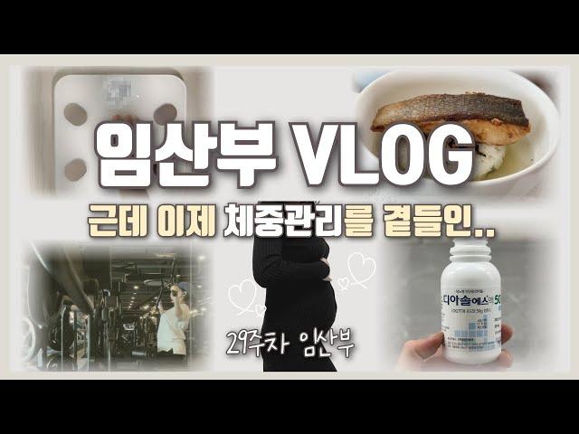 [임산부 브이로그] 29주차 임산부 삼시세끼 ⎮ 건강하게 챙겨먹는 임신 식단 ⎮ 임산부 모닝루틴, 운동루틴, 집밥메뉴, 간식추천 