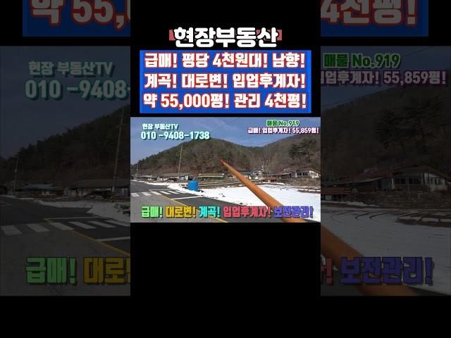 임야 급매 평당4천원대 대로변 계곡 55859평 #급매 #임야 #임업후계자 #대로변 #방북리 #임야매매