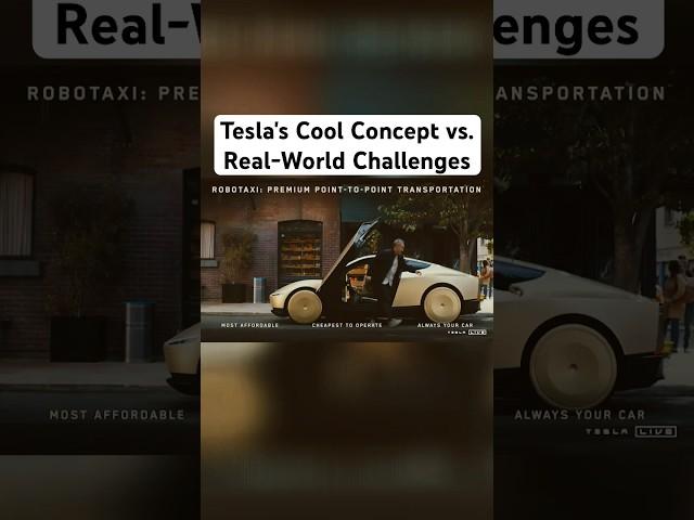 Robo-Taxi: Tesla's Cool Concept vs. Real-World Challenges