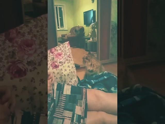 Г.Каз-ь,Я-Олег,М.Св-а,2.К.Ася,Буся!-Принюх Дум-Чё-Это-За-Гражд Сид?Чё-То Я Её Не Узн