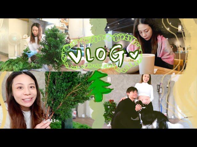 VLOG｜孕婦日常！挑戰DIY一顆真的聖誕樹！ #23weekspregnant