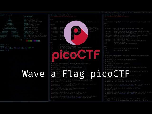 Uncover the Secrets: Wave a Flag PicoCTF Walkthrough #picoctf #ctf