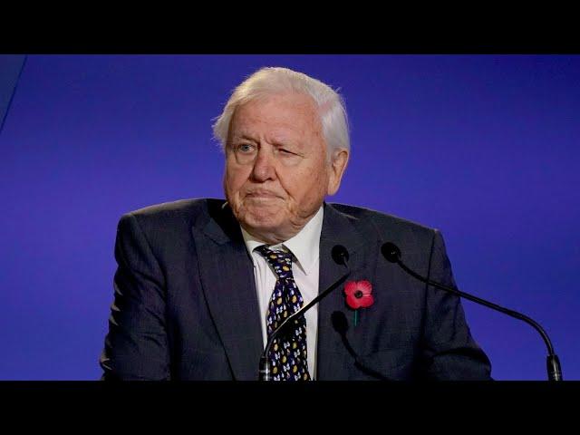 Watch Sir David Attenborough's powerful speech to leaders at COP26