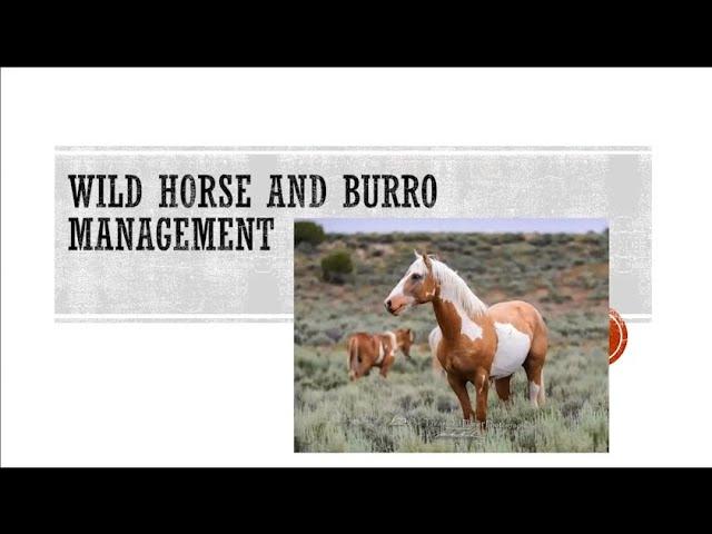 Advocating for Wild Horses and Burros - Animal Liberation Webinar