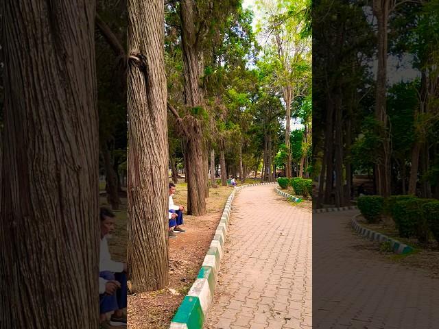 Rukhe Mustafa wo kitaab hai | Lal bagh Bangalore | Enjoy Bangalore. History of Bangalore
