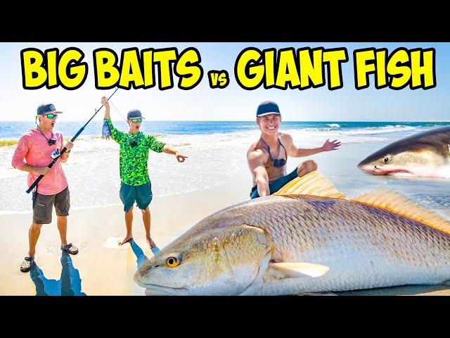 CATCHING GIANT Fish FROM THE BEACH! (SHARK FISHING CHALLENGE)