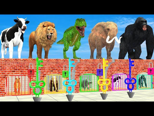 Don't Choose The Wrong Key With Elephant Cow Lion Gorilla Escape From The Color Prison Animals Game