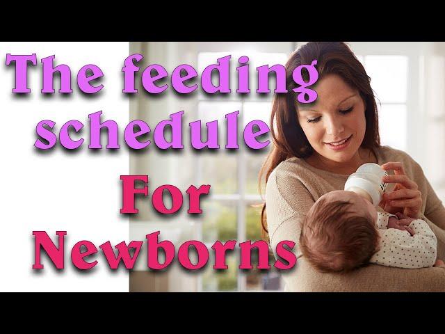 Baby feeding schedule  Video 1   #shorts