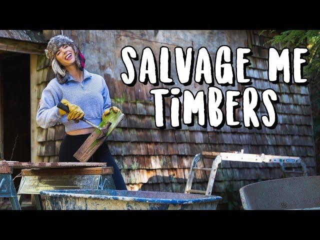 Episode 5: Salvage Me Timbers