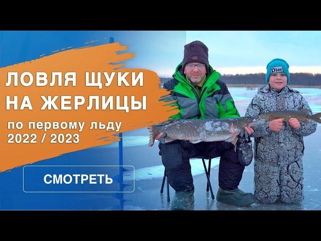 Ловля щуки на жерлицы | Перволедье 2023/2024 | Зимняя рыбалка