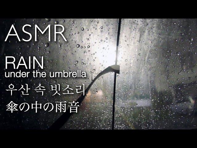 Rain under the umbrella (우산 속 빗소리/傘の中の雨音)