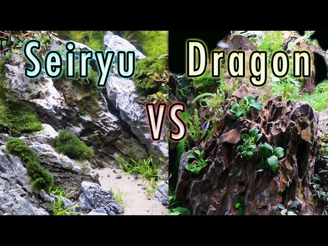 The Ultimate Aquarium Rocks! Dragon Stone vs Seiryu Stone: Which One is Better?